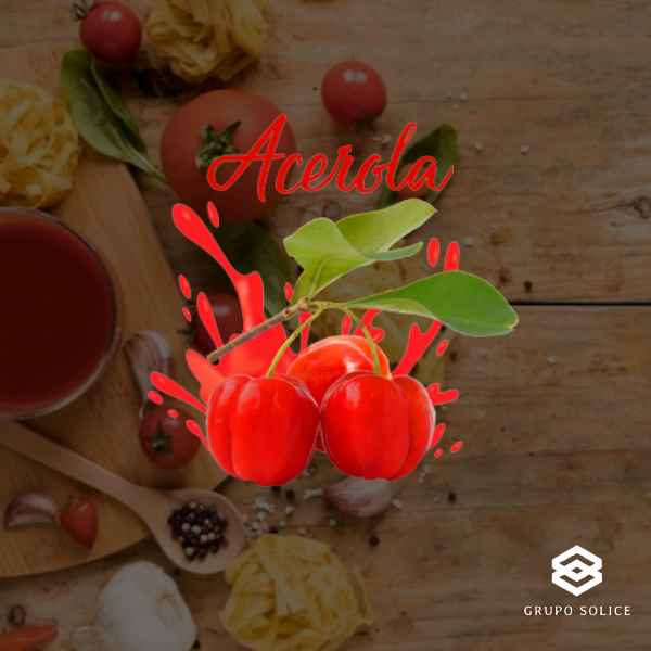 Pola de Acerola 500g (Imagem Principal)