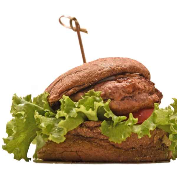 Burguer Fit (Imagem Principal)