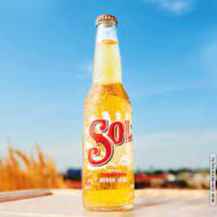 Sol Longneck (Imagem Principal)