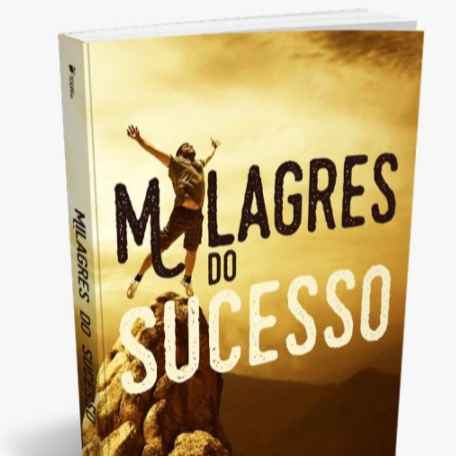 Manual Prático para Empreendedores Iniciantes (Imagem Principal)