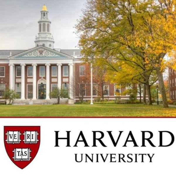 HAVARD SUMMER SCHOOL (Imagem Principal)