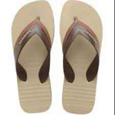 HIBRIDO MARRON (Imagem Principal)