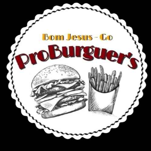 ProBurguer (Imagem Principal)