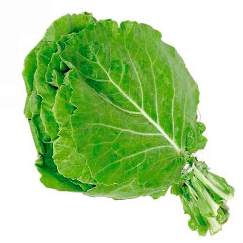 Couve Manteiga Maço (Imagem Principal)