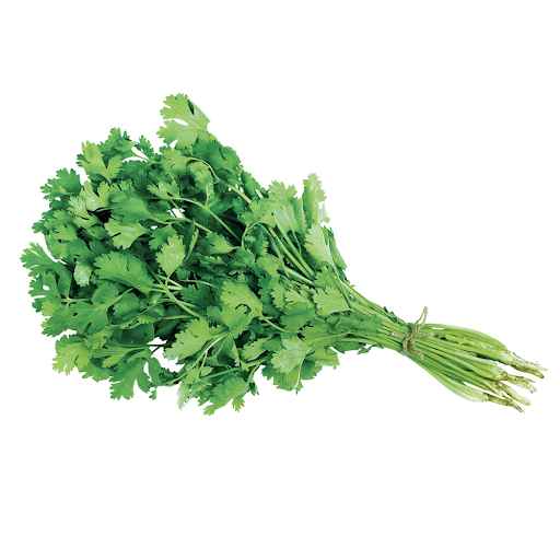 Coentro Maço (Imagem Principal)