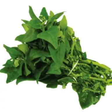 Espinafre Maço (Imagem Principal)