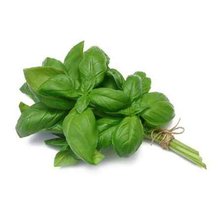 Manjericão Maço (Imagem Principal)