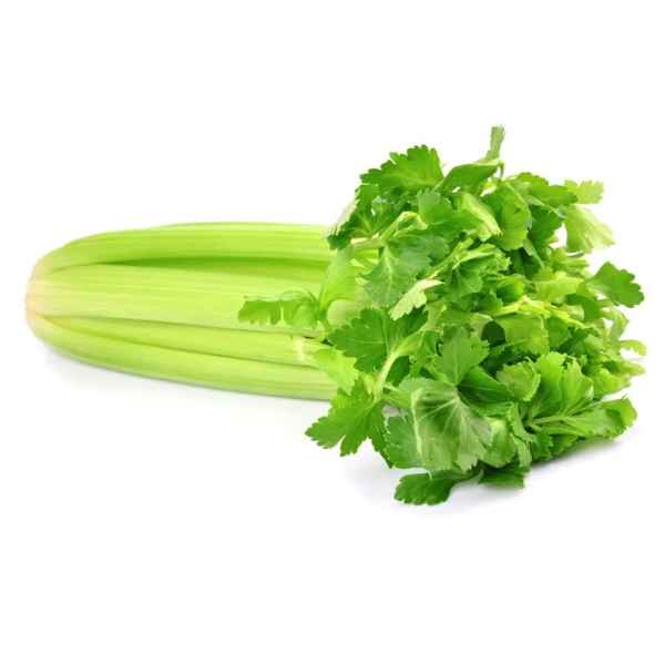 Salsão Maço (Imagem Principal)