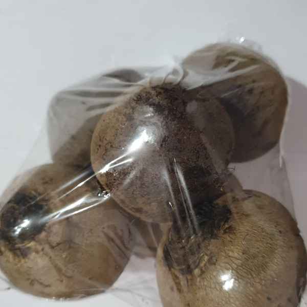 Beterraba (Imagem Principal)