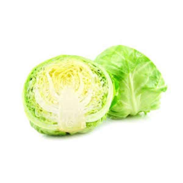 Repolho Verde (Imagem Principal)