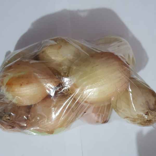 cebola (Imagem Principal)