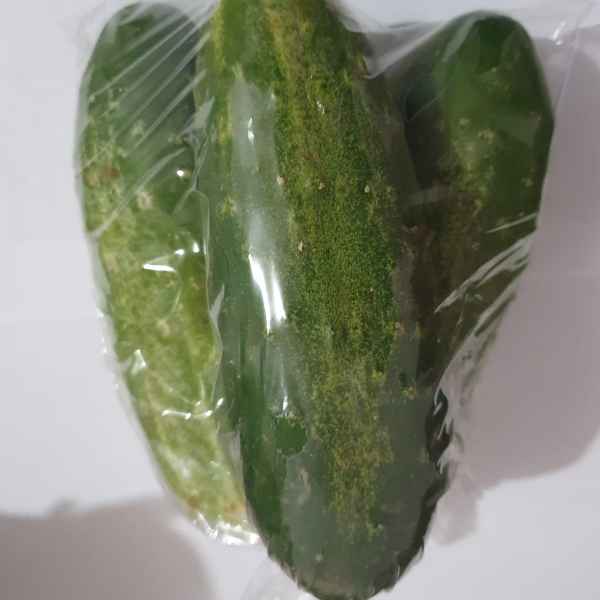 Pepino (Imagem Principal)