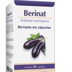 Berinat Solamum Melongena (Imagem Principal)