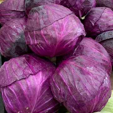 repolho roxo kg (Imagem Principal)