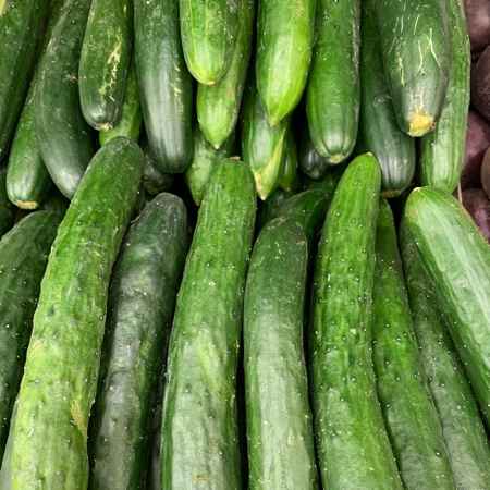 pepino japonês kg (Imagem Principal)