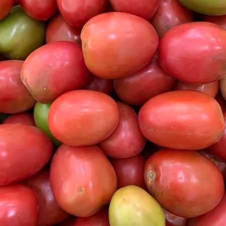 tomate italiano kg (Imagem Principal)