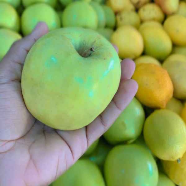 maçã verde kg (Imagem Principal)