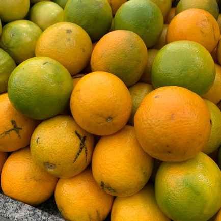 laranja lima kg (Imagem Principal)