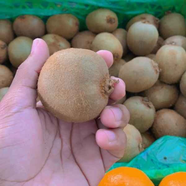 kiwi kg (Imagem Principal)