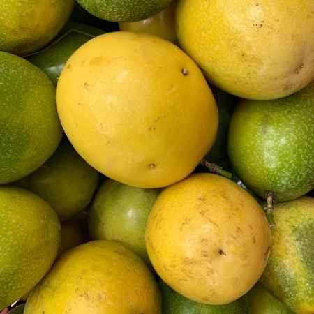 maracuja kg (Imagem Principal)
