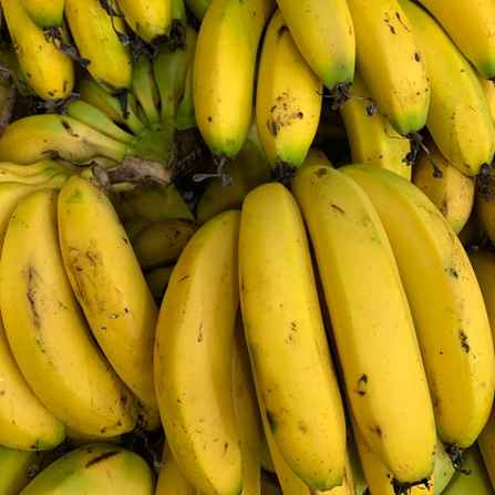 banana caturra kg (Imagem Principal)