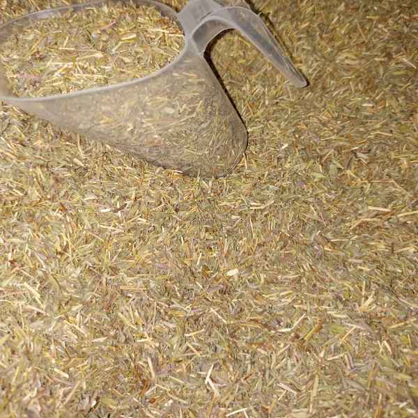 tomilho 100g (Imagem Principal)