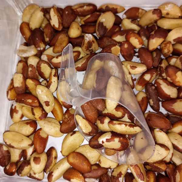 castanha do para 100g (Imagem Principal)