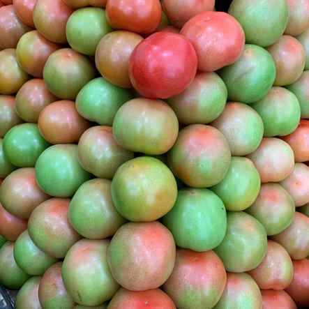 tomate kg (Imagem Principal)