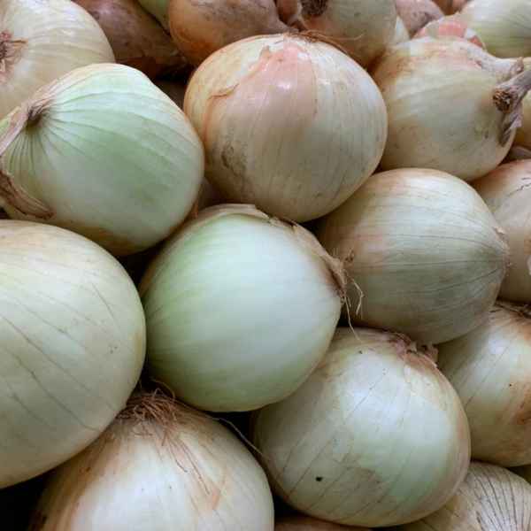 cebola branca kg (Imagem Principal)