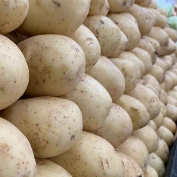 batata inglesa kg (Imagem Principal)