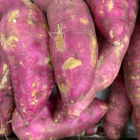 Batata Doce Roxa Kg (Imagem Principal)