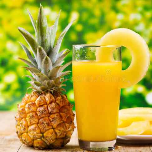 Suco De Abacaxi 500 ml (Imagem Principal)
