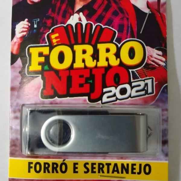 Pen Drive Gravado Primeira Linha Forronejo 2021 4GB (Imagem Principal)