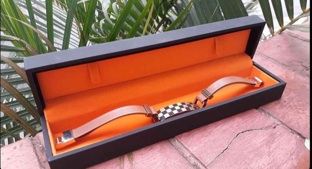 PULSEIRA BIAQUÂNTICA (Imagem Principal)