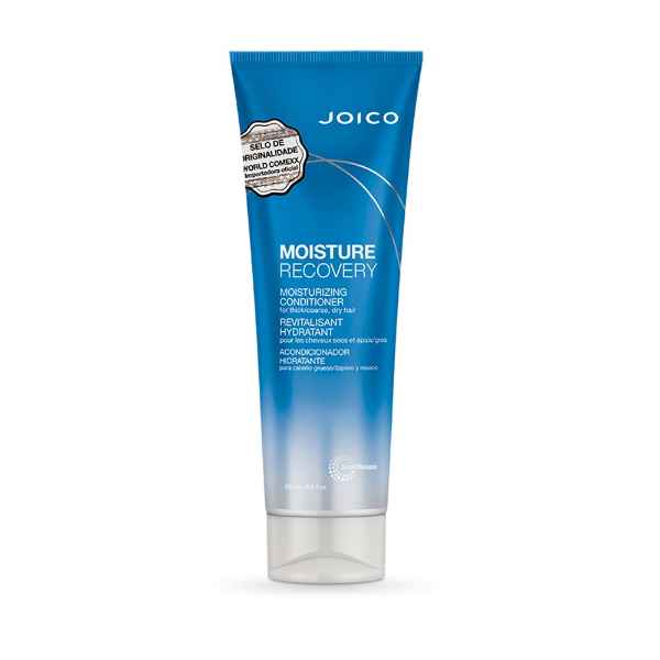Condicionador Hidratante Joico Moisture Recovery 250 ml (Imagem Principal)