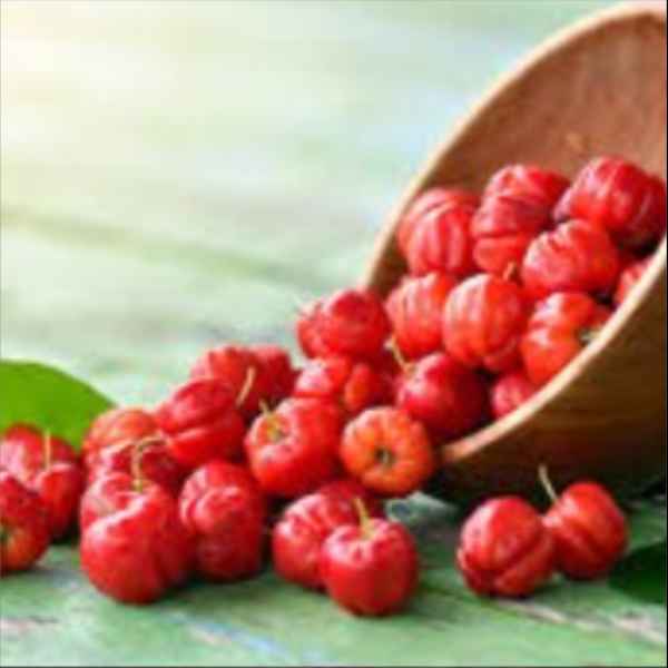 SUCO DE ACEROLA (Imagem Principal)