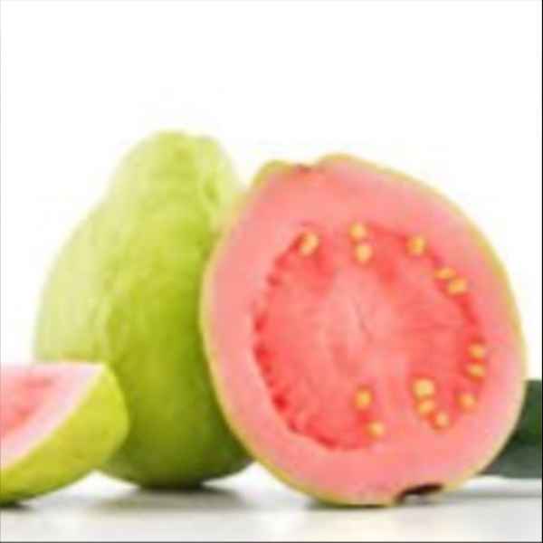 SUCO DE GOIABA (Imagem Principal)