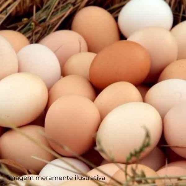 Ovos Orgânicos (Imagem Principal)