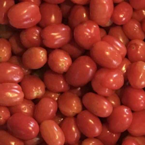 Tomatinho pera (Imagem Principal)
