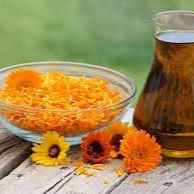 FLOR DE CALENDULA (Imagem Principal)