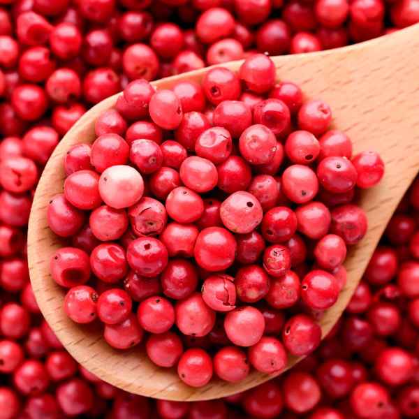 PIMENTA ROSA (Imagem Principal)