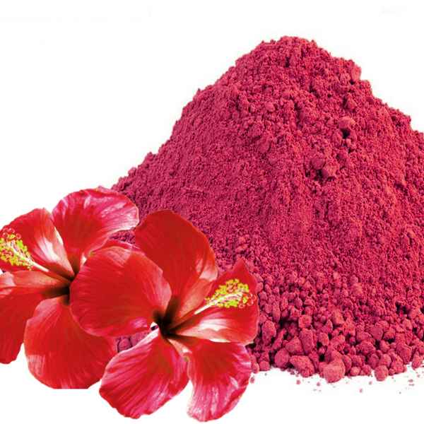 HIBISCO EM PÓ (Imagem Principal)
