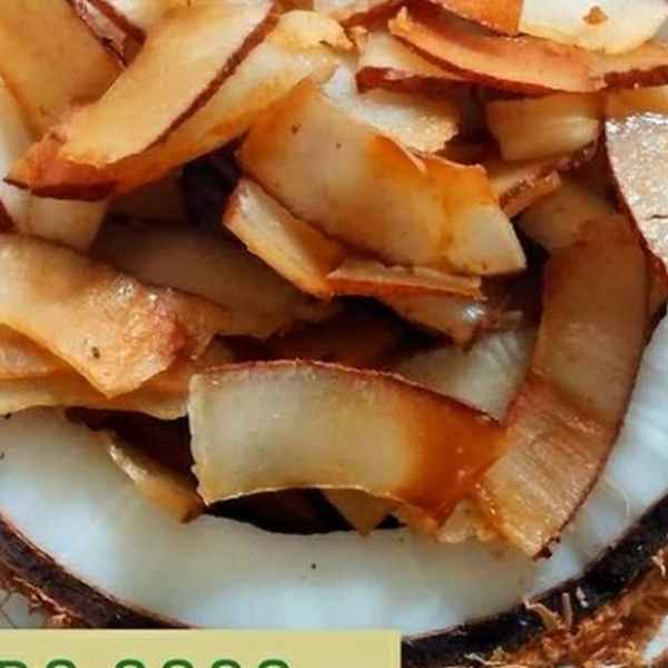 CHIPS DE COCO COM MASCAVO (Imagem Principal)