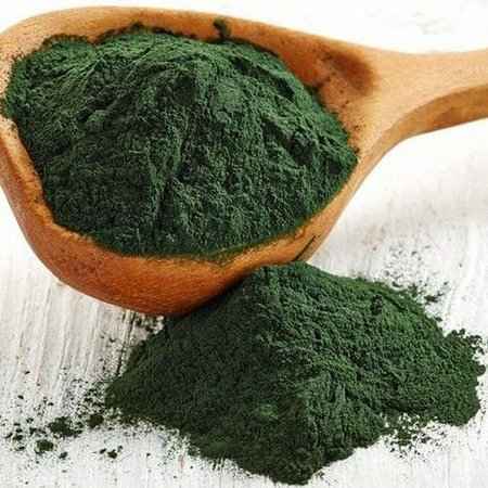 SPIRULINA EM PÓ (Imagem Principal)