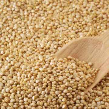 QUINOA BRANCA (Imagem Principal)