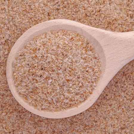 PSYLLIUM (Imagem Principal)