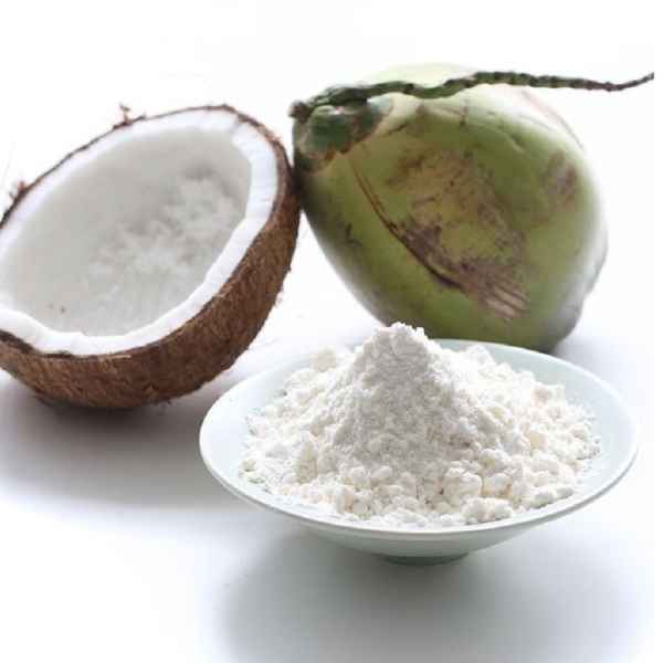 LEITE DE COCO VEGANO (Imagem Principal)
