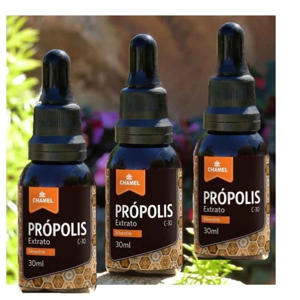 EXTRATO DE PRÓPOLIS CHAMEL 30ML (Imagem Principal)