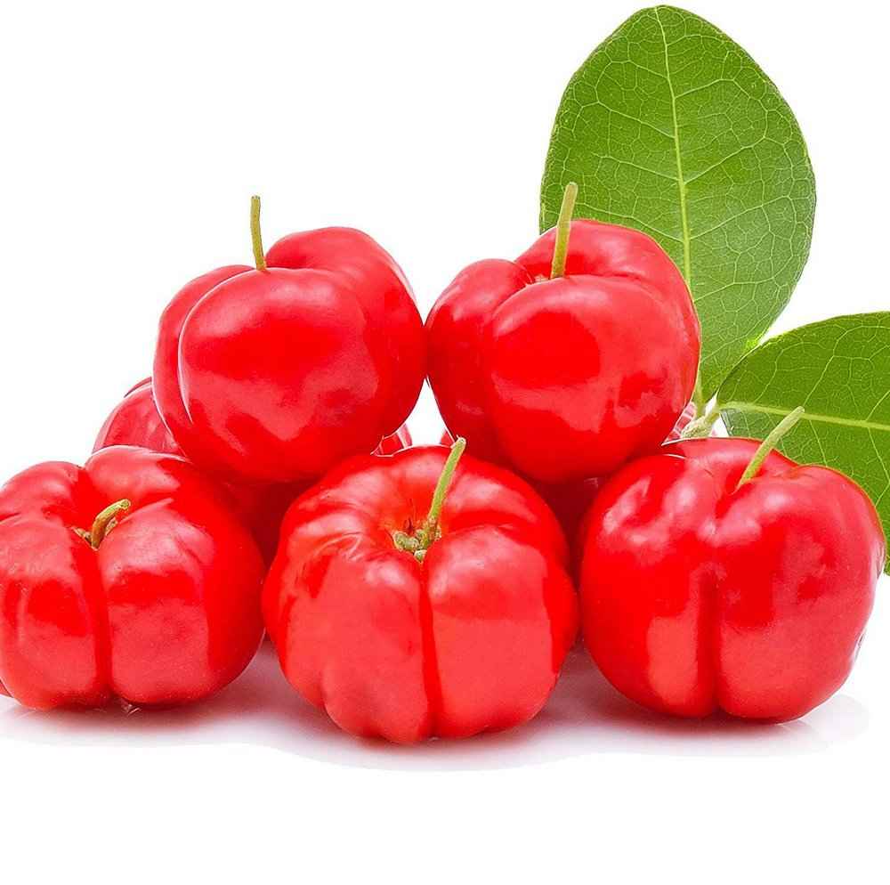 Acerola  (Imagem Principal)