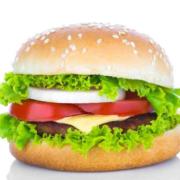 AMERICANO BOVINO (Imagem Principal)